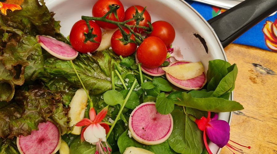 Salada Cortesia da Horta 