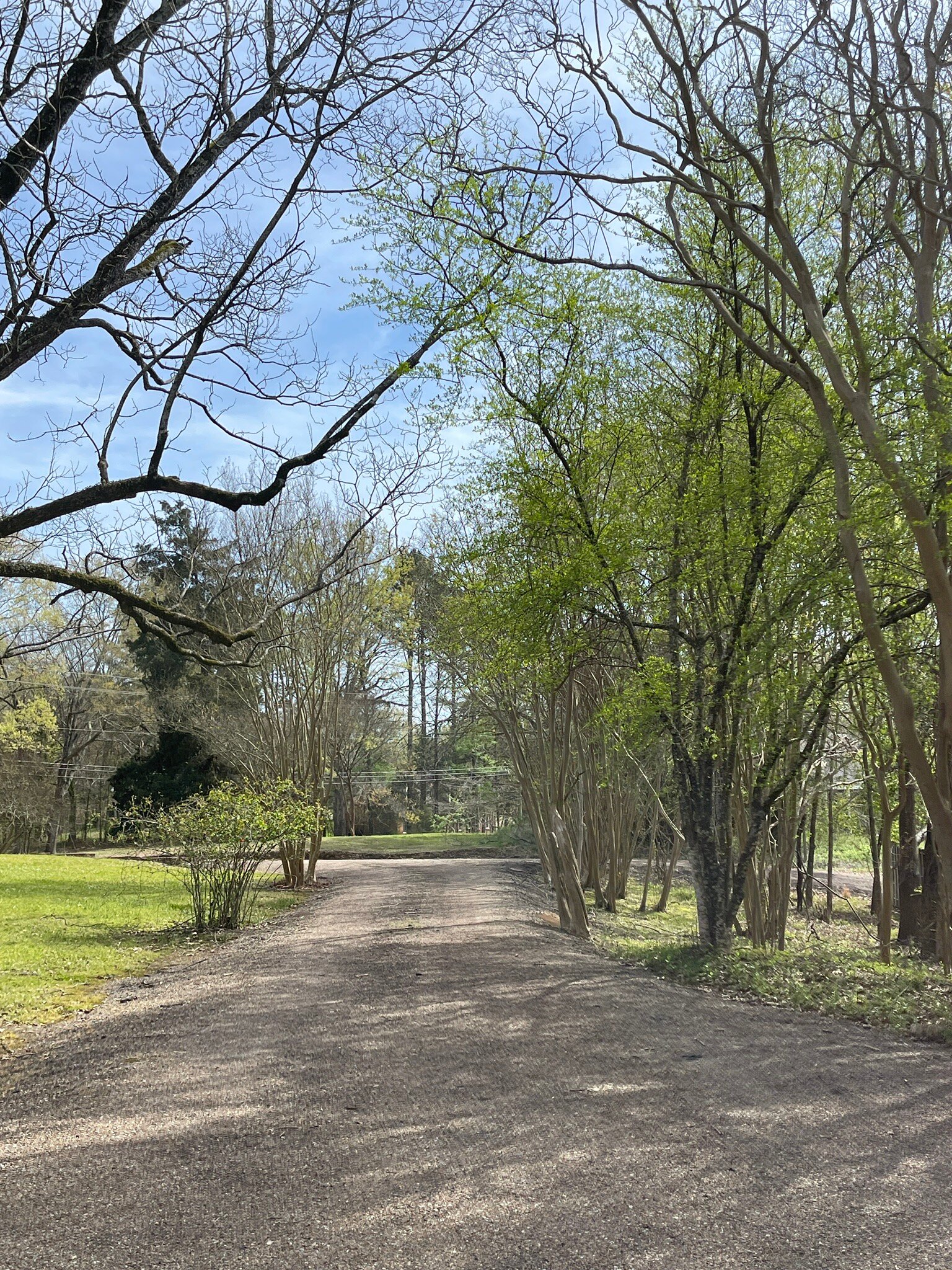 THE MONTGOMERY B&B: Bewertungen, Fotos & Preisvergleich (Starkville, MS ...