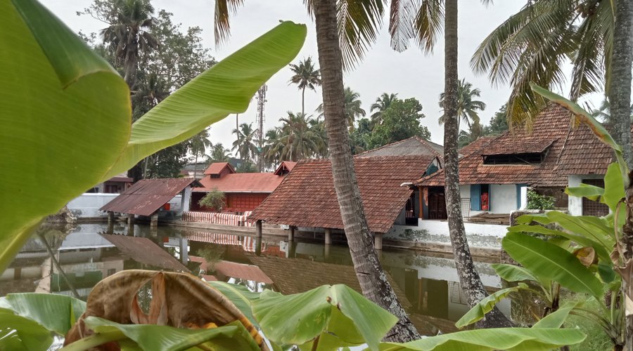Mattancherry pond, Palace road, Kochi, India. February 2023.