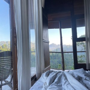 Morning view