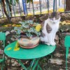 Athina M