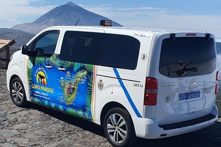 THE 10 BEST Santa Cruz de Tenerife Taxis Shuttles Updated 2024