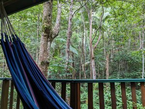 Narrows Escape Rainforest Retreat (Montville) Hotel Prices & Reviews