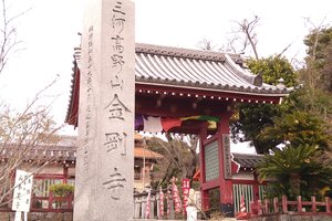 旅行者の写真