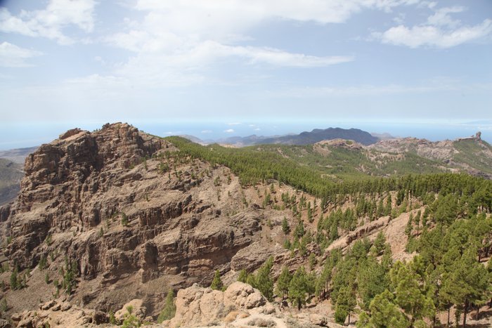 Imagen 8 de Mirador del Pico de los Pozos de la Nieve