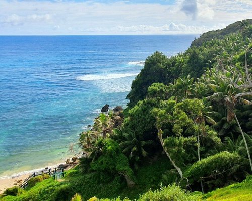 THE 15 BEST Things to Do in Lord Howe Island - 2024 (with Photos ...