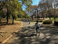 Small-Group Tokyo Biking Tour