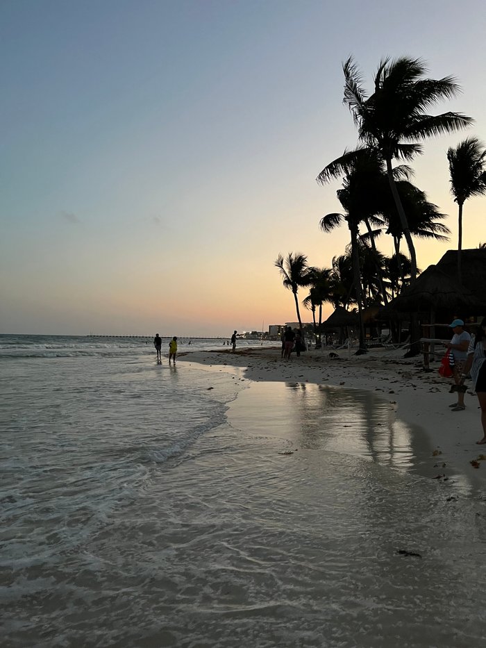 the shore at 46th playa del carmen