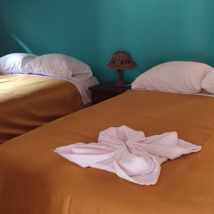 Habitación doble 2 camas standar con vistas ducha, baño privado wifi gratis. 