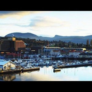 Harbour View