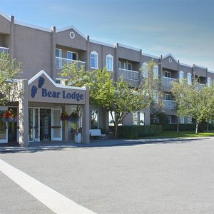Bear Lodge at Wedgewood Resort in Fairbanks