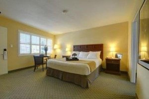 Room & Suite