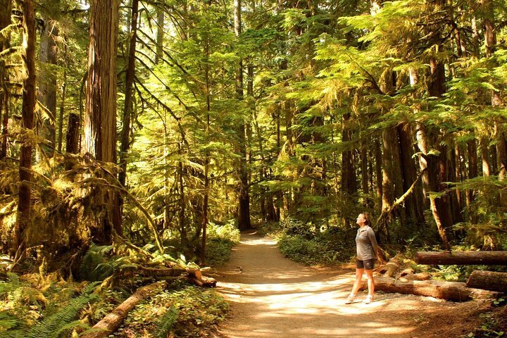 Olympic national park hiking clearance trails