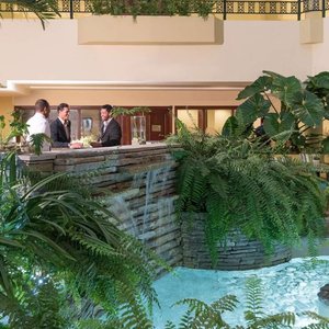 Bar atrium hodelpa garden Suites