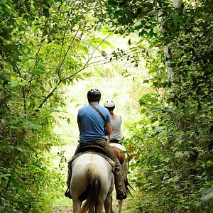 Chaa Creek Horseback Riding