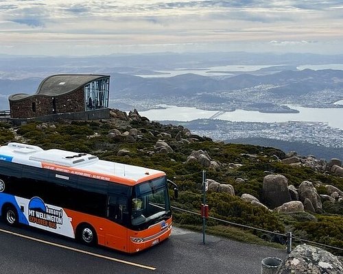 bus tours tasmania 2022