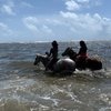 Sandy Hoofs St. Lucia