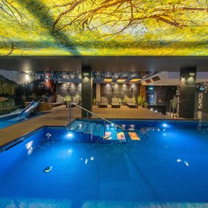 Hotel Zloty Gron in Istebna