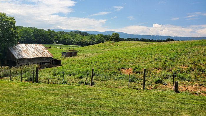 SPACIOUS SKIES CAMPGROUNDS - SHENANDOAH VIEWS - Updated 2024 Campground ...