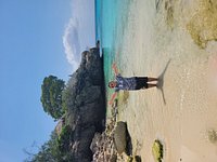 Tripadvisor  Nadar com tartarugas marinhas e praia de Grote Knip