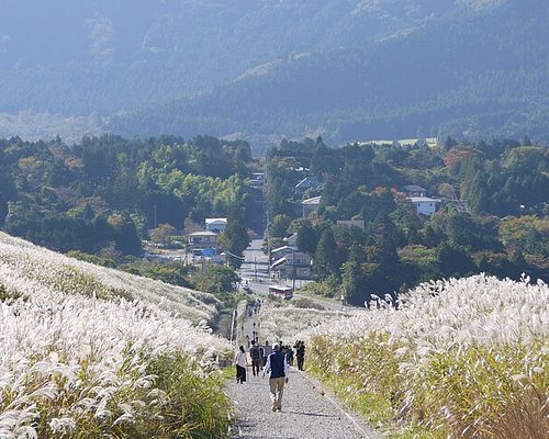 Walking the ancient Tokaido trek: The centuries-old secret trails