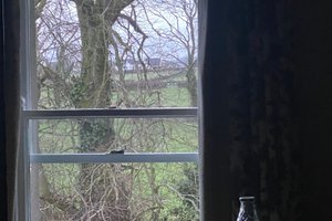 Room & Suite