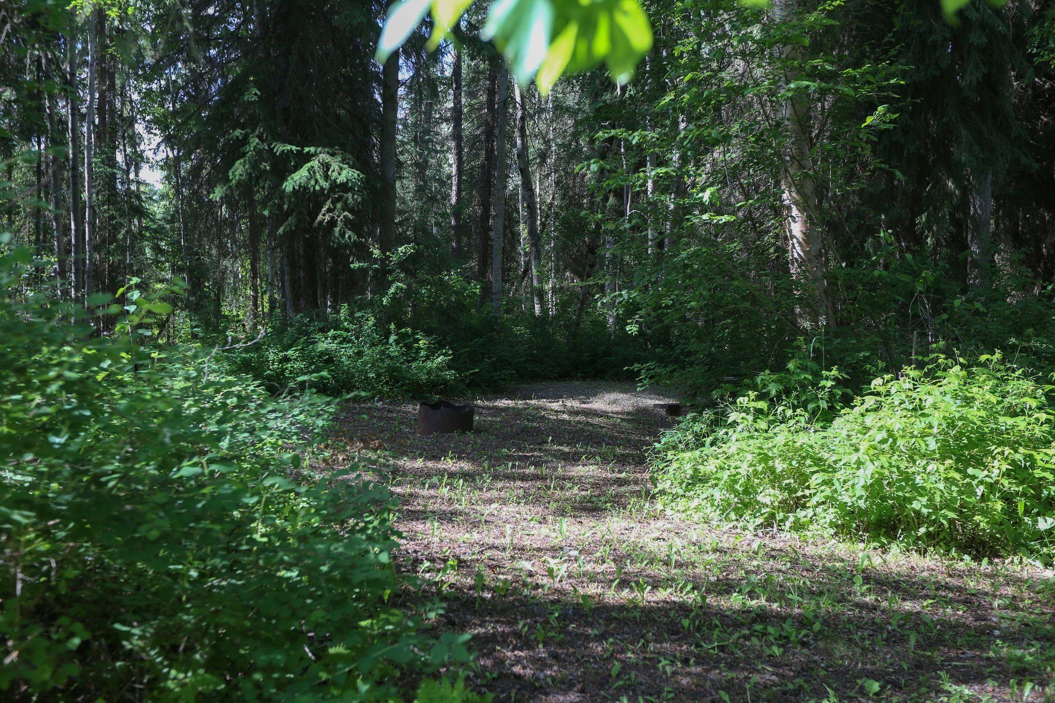 Golden Riverfront Campground by null