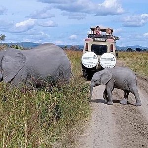 zanzibar leisure tours and safaris