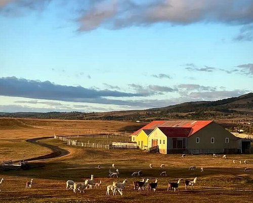 puerto natales tour operators