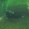 orcadiver