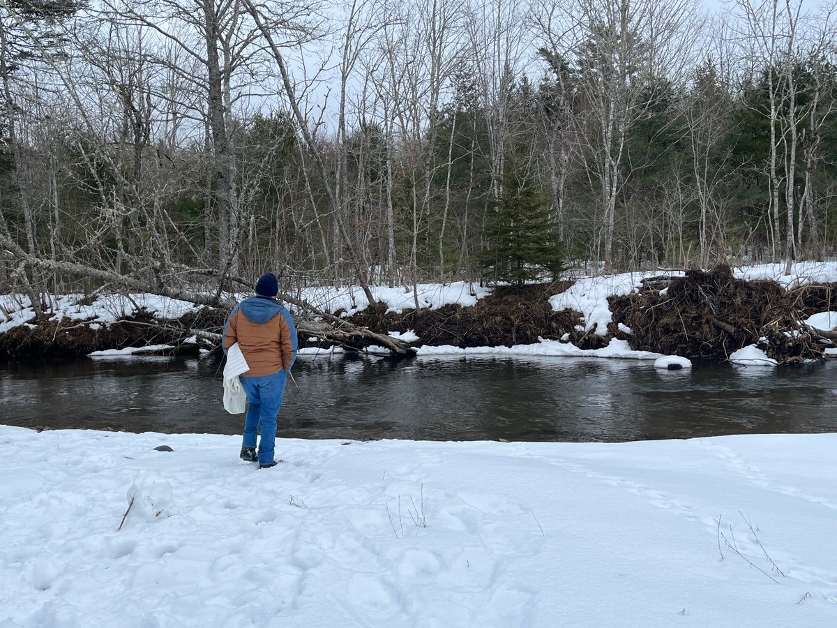 Best Campgrounds in Bay of Fundy