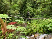 Cascadas El Tigre: 326 fotos - Guanacaste, Costa Rica