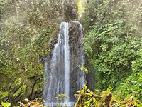 Cascadas El Tigre: 326 fotos - Guanacaste, Costa Rica