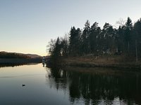 Lake Šmartinsko jezero • Outdoor sport »