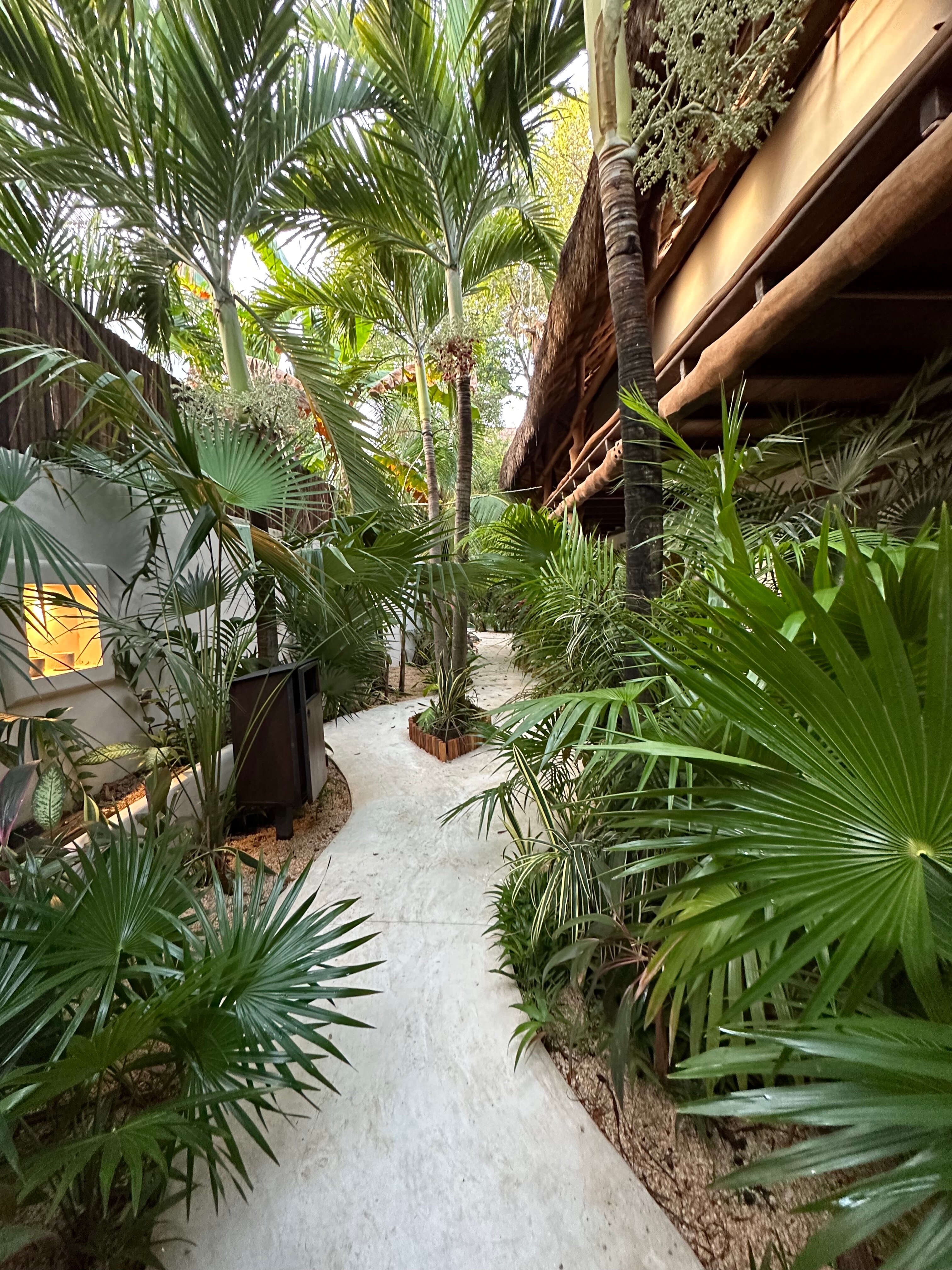 TerraNova Boutique Hotel UPDATED Prices Reviews Photos Tulum