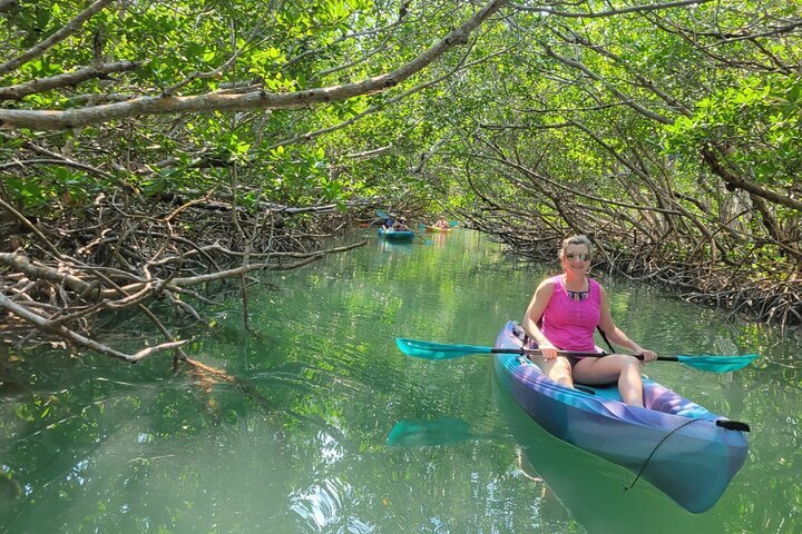 2024 Key Largo: Mangroves & Manatees Kayak Eco Tour