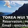 Torea Nui Transports et Activités Moorea