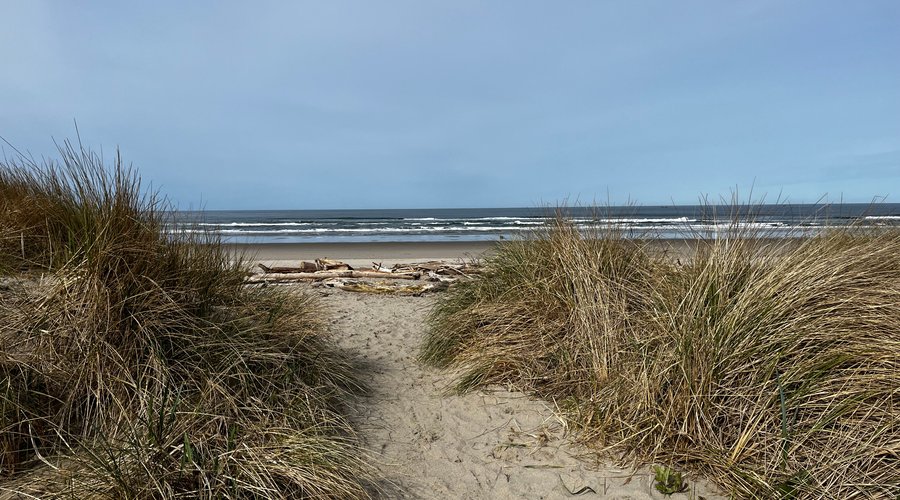 Jetty Dune Short - Pacific