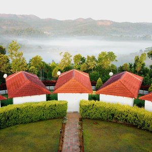 Morning view of cottages and the coffee estate beyond it.