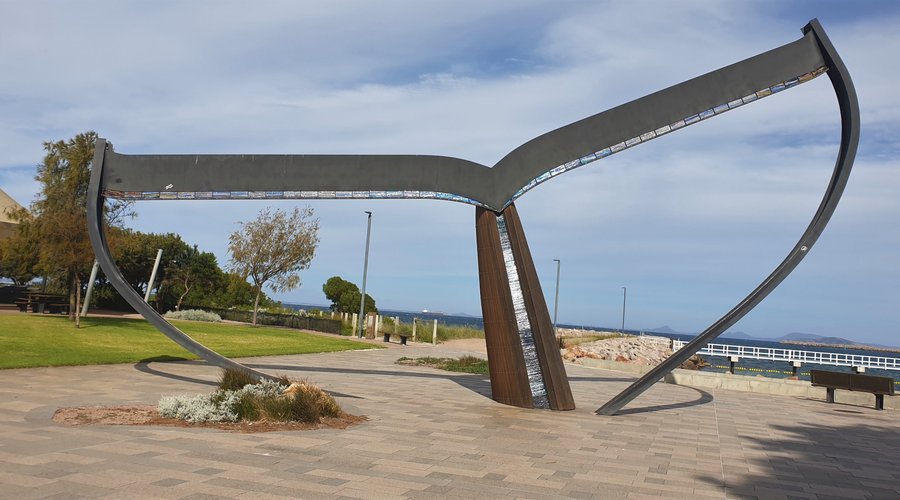 Whale Tail Esperance 