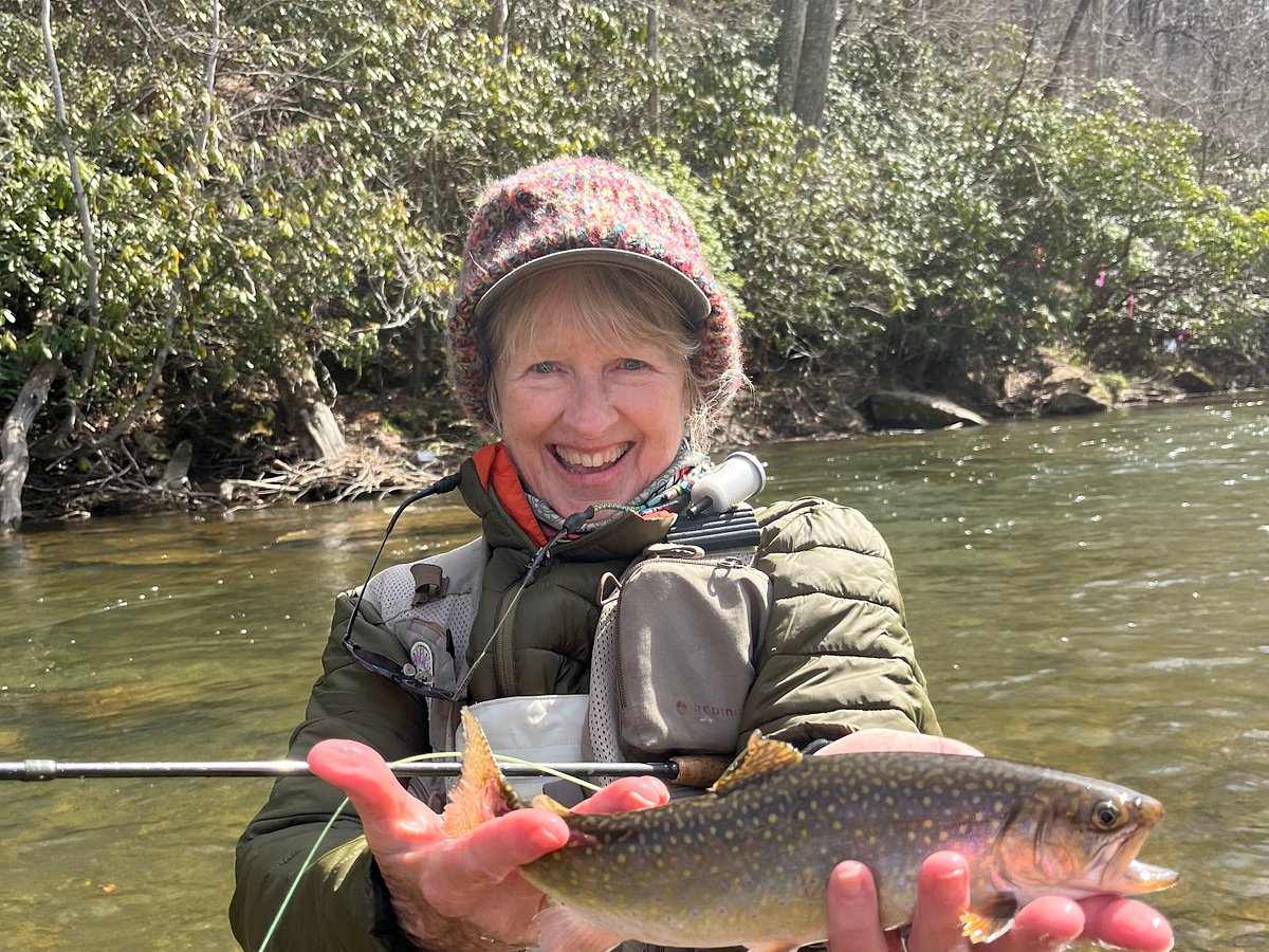 North Carolina Trout Fishing  High Country Visitors' Guide