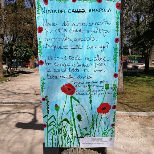 El Jardín de Eidan - Parque de bolas, Baby Park y Escape room Guadalajara