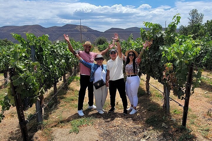 girls' trip: wine tasting in temecula - the love designed life