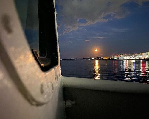 paddle boat cruise boston