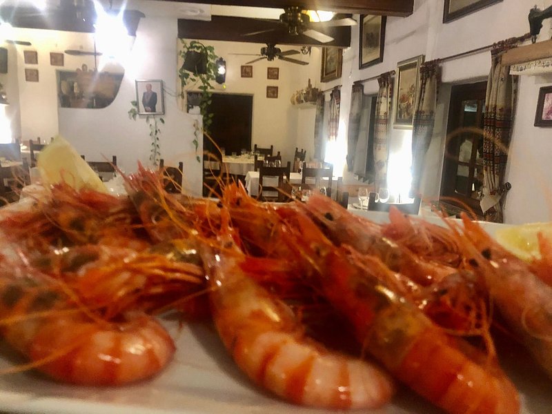 Lobster Fideuá - Picture of Gran Azul, Valencia - Tripadvisor