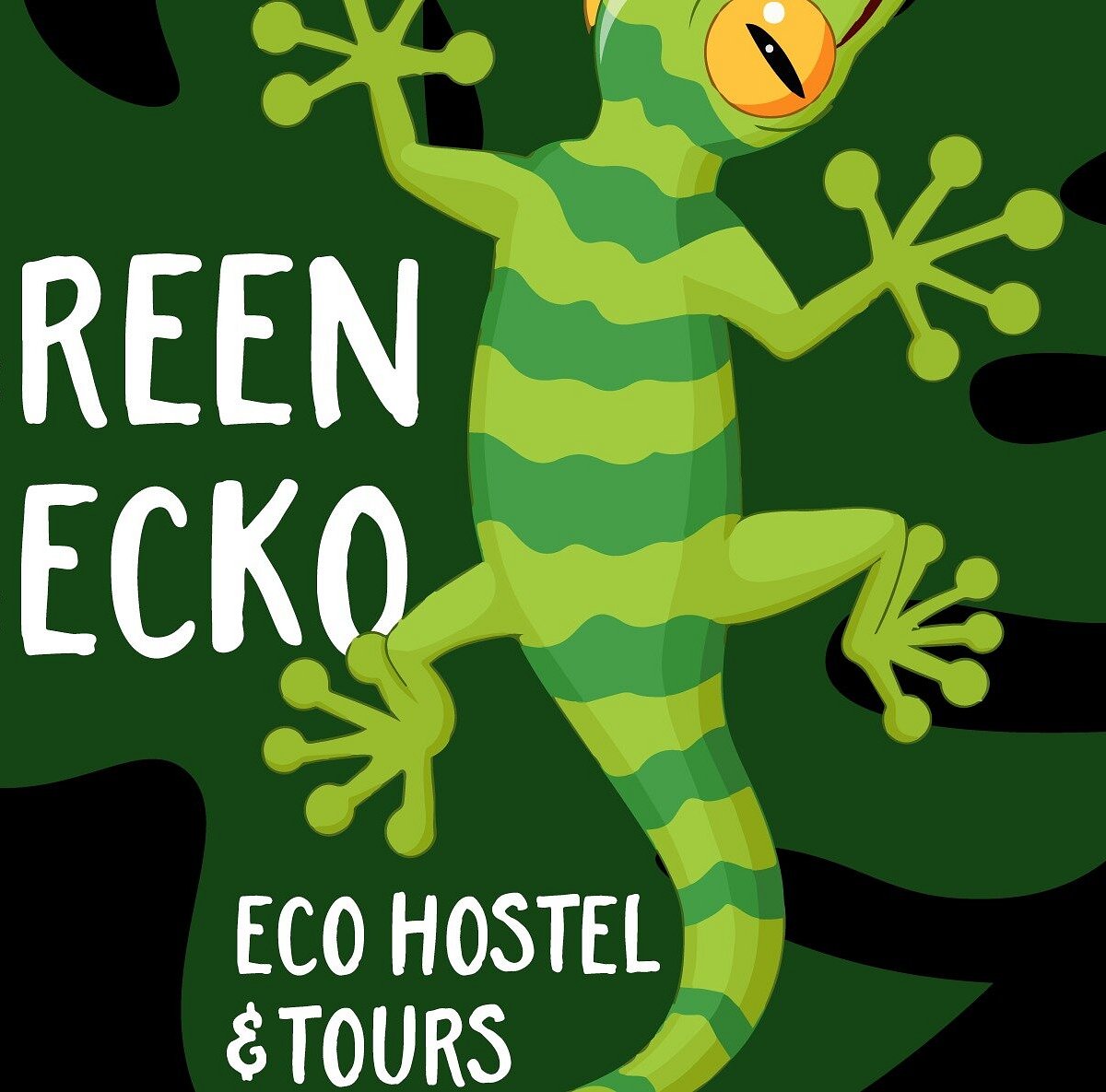 green gecko tours