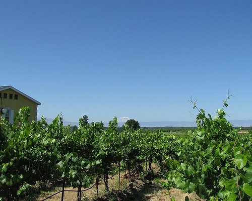 winery tours near seattle