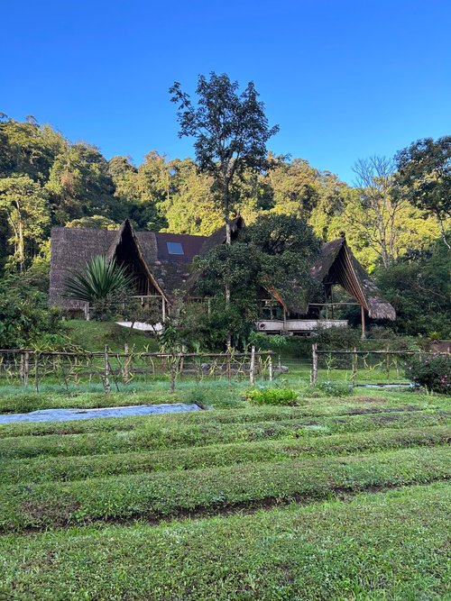 EL MONTE SUSTAINABLE LODGE Updated 2023 (Mindo, Ecuador)