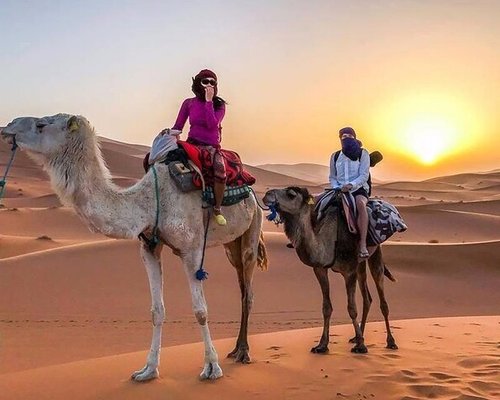 Deserto com areia movediça - Avaliações de viajantes - Wadi Araba Desert -  Tripadvisor