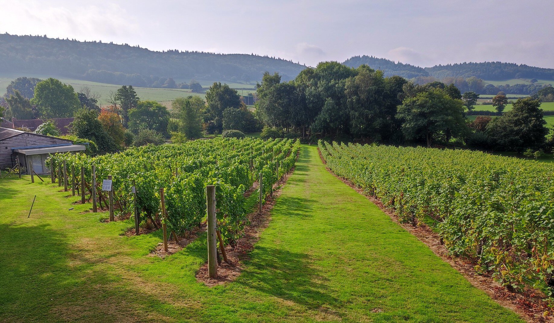 THE BEST Herefordshire Wineries Vineyards Updated 2024